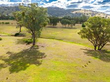 Lot 1 McKoy Street, West Wodonga, VIC 3690 - Property 440500 - Image 6