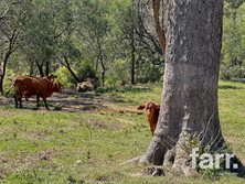 388 Swan Gully Road, Bromelton, QLD 4285 - Property 448372 - Image 3